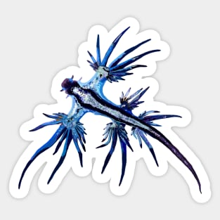 Blue Nudibranch Sticker